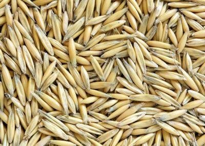 Oats