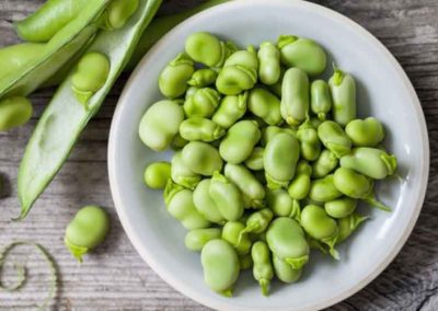 Broad Bean