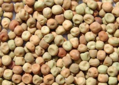 Field Peas 2