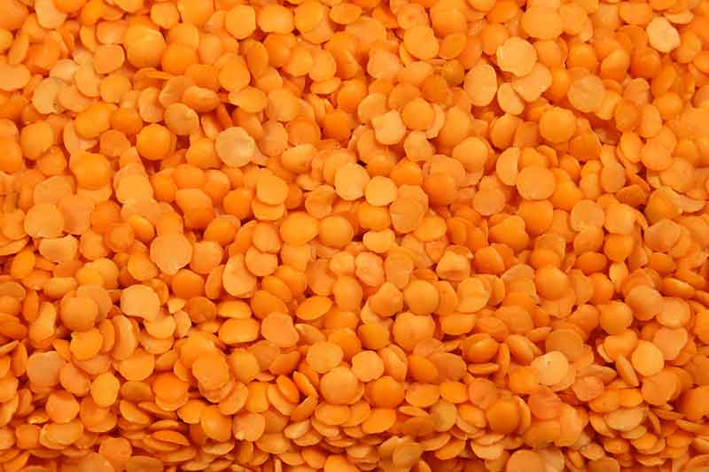 Red Lentils Split